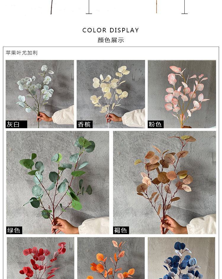 苹果叶桃树叶详情模板_03.jpg