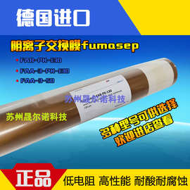 阴离子交换膜 碱性燃料电池 电渗析用 fumasep膜 FAB-PK-130