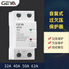 GEYA格亚GPV8自恢复式过欠压保护器2P 4P 40A 63A|ms