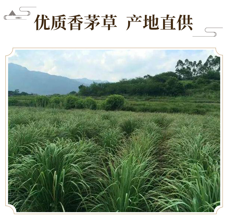 Dried Lemongrass Xiang Mao Cao Natural Sun-Dried Herb for Tea and Culinary Use 500g key features