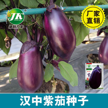 SlشϹѷNӈAţϺڟ߲˷Nݲ˷N