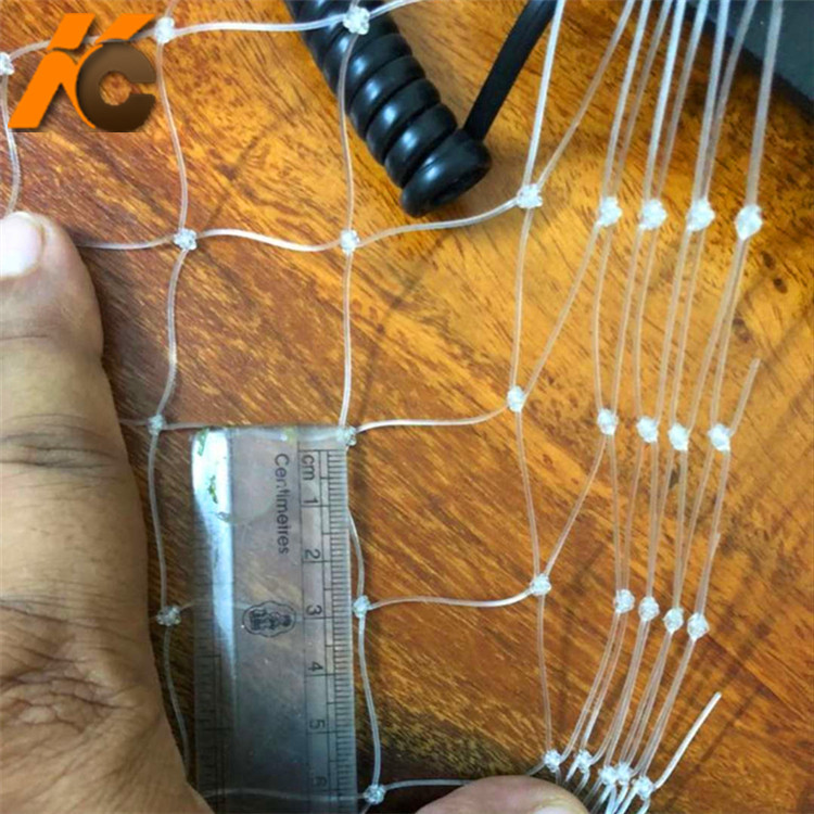 HDPE果树防鸟网A瑞安HDPE果树防鸟网现货厂家