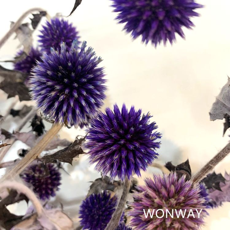 微信图片_20200226144259_副本