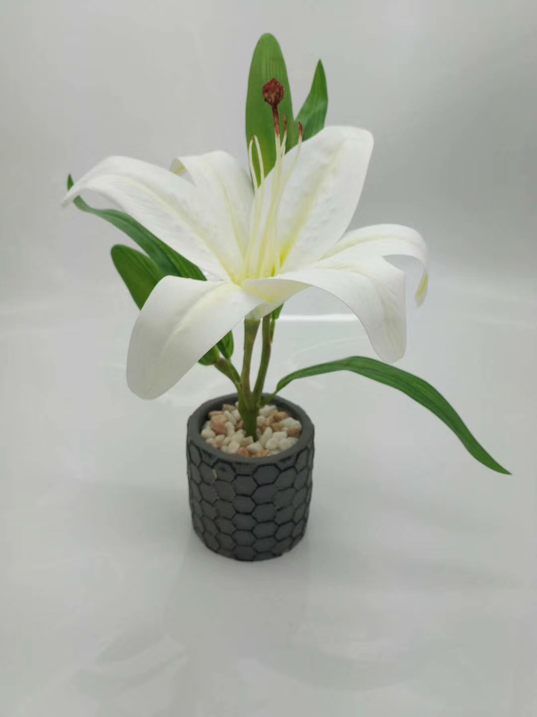 WeChat 圖片_20200704111907