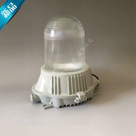 防爆灯;LED装饰灯;投光灯