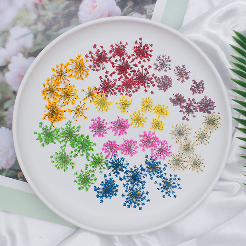 O1CN01U81wwQ2ISa1k9GFqC_!!2201