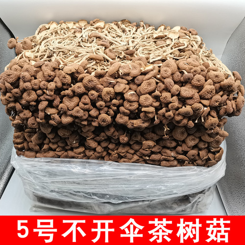 Fujian wholesale shiitake mushrooms, shiitake mushroom tea tree mushroom dry goods bulk origin direct sales wholesale 500g