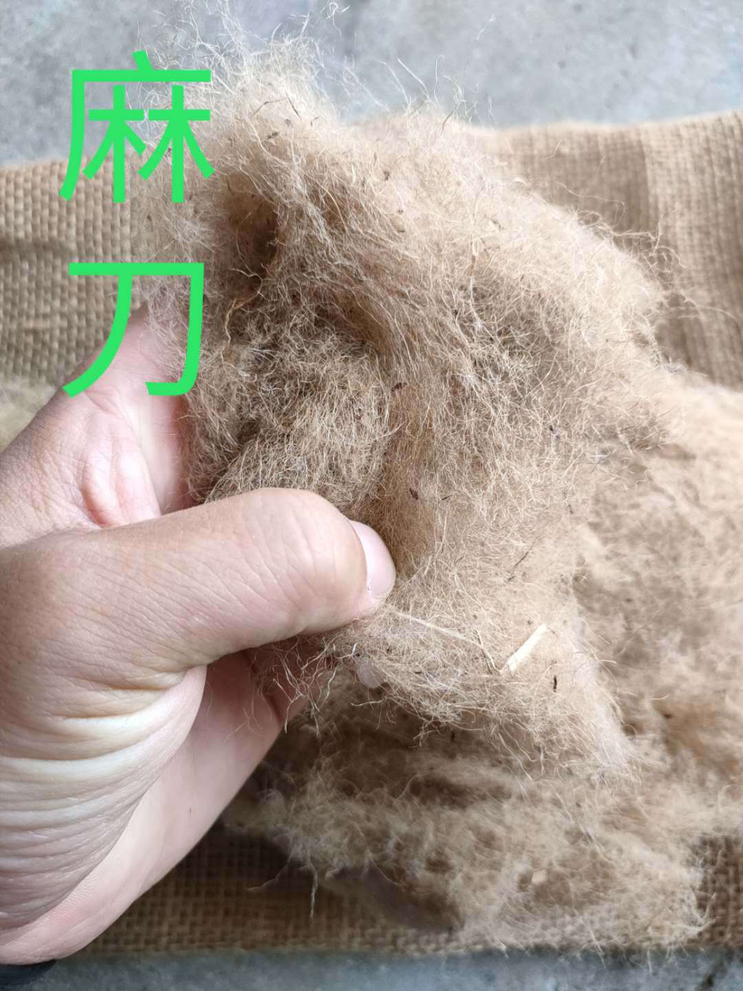 6552f389925fe6f4e2f5c9cda7c491