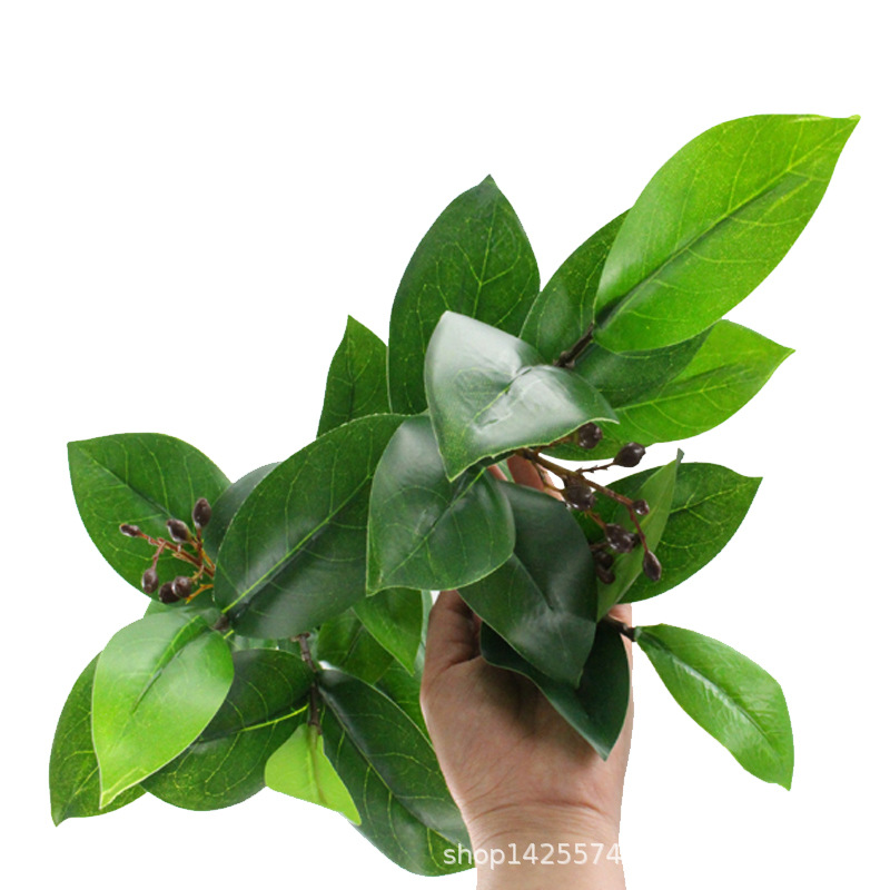 XRB-211 红花油茶叶6叉枝立体4.jpg