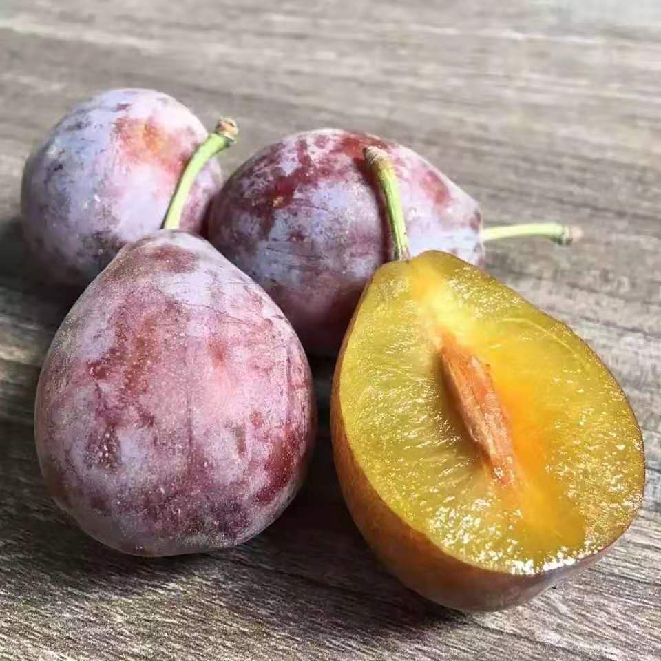 【顺丰包邮】新疆喀什西梅，甜度高达20以上纯甜软糯爆汁高端礼盒|ru