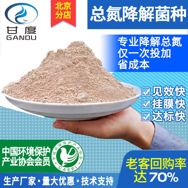 北京总氮降解菌种 脱氮菌 厌氧去除总氮 耐低温菌种 微生物污水菌