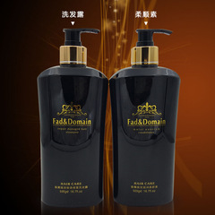 佳佳利時尚領域香薰煥發洗髮水去油去屑護髮素洗護套裝