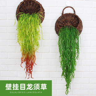 �S�����l69Ŀ��횲ݱ��W¹�ǲ� ��ɫ�ڒ���滨  �b��ٗl