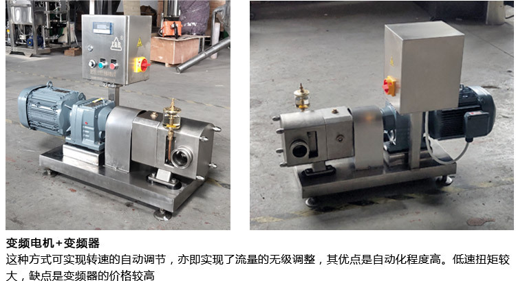 百力仕转子泵新 (11)