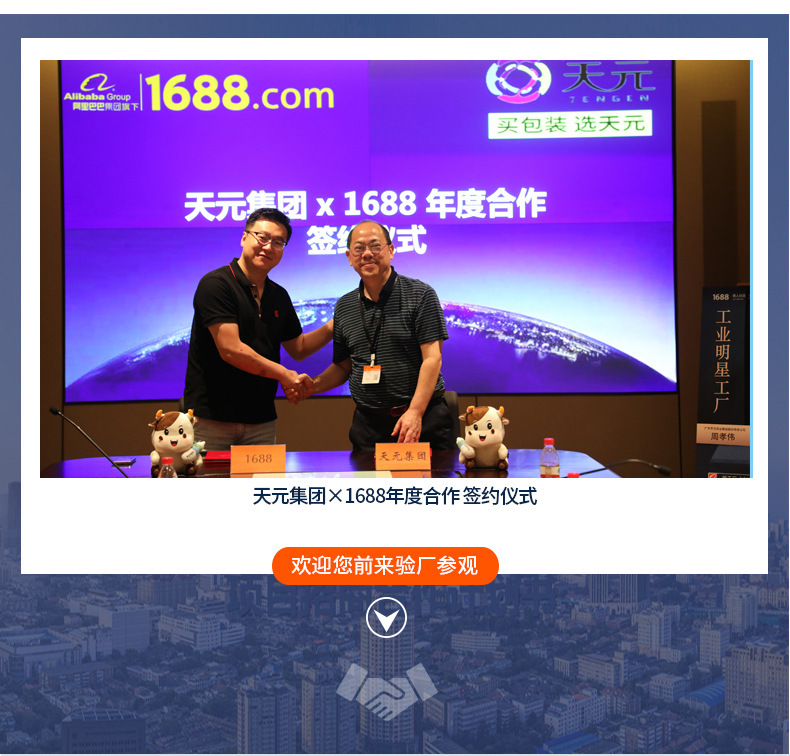 天元厂家物流快递透明背胶袋