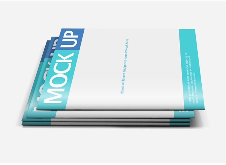 折页说明书 产品说明书 企业画册 宣传单 彩页