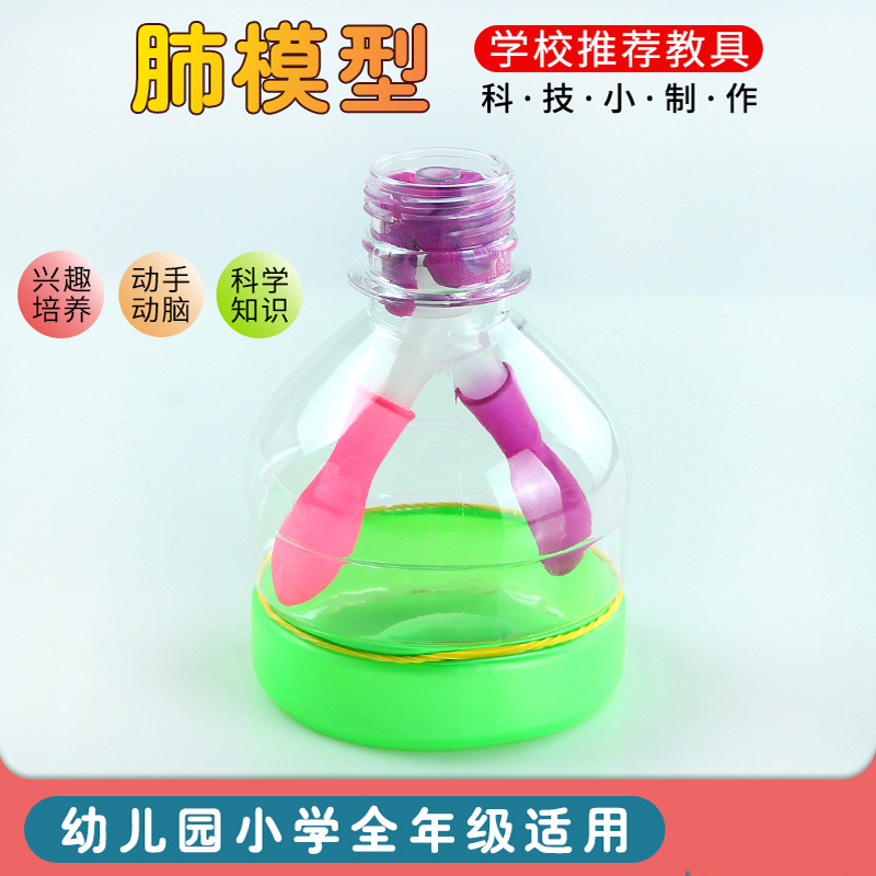 Technology small production lung breathing DIY education training equipment fun science experiment diaphragm motion simulator