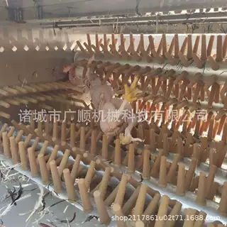 鸡鸭鹅扒毛机脱毛设备   屠宰家禽脱毛机