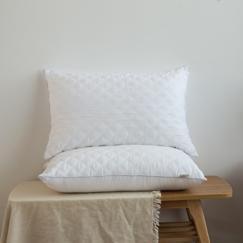 Amazon Specifically for Cross border Source of goods Home textiles U.S.A Europe station Size Pillow core velvet ventilation Hemming three-dimensional