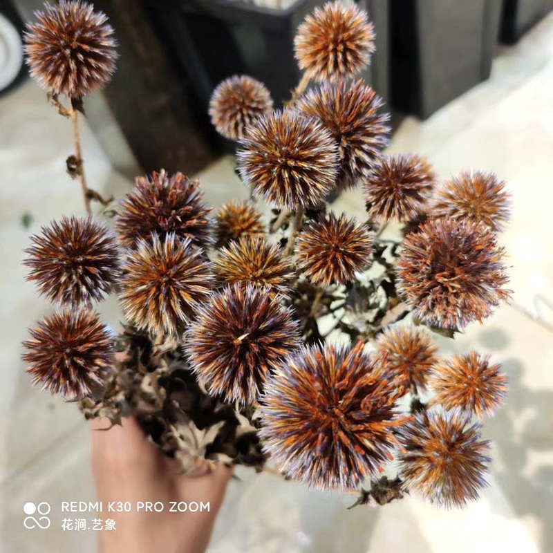 微信图片_20200717232152