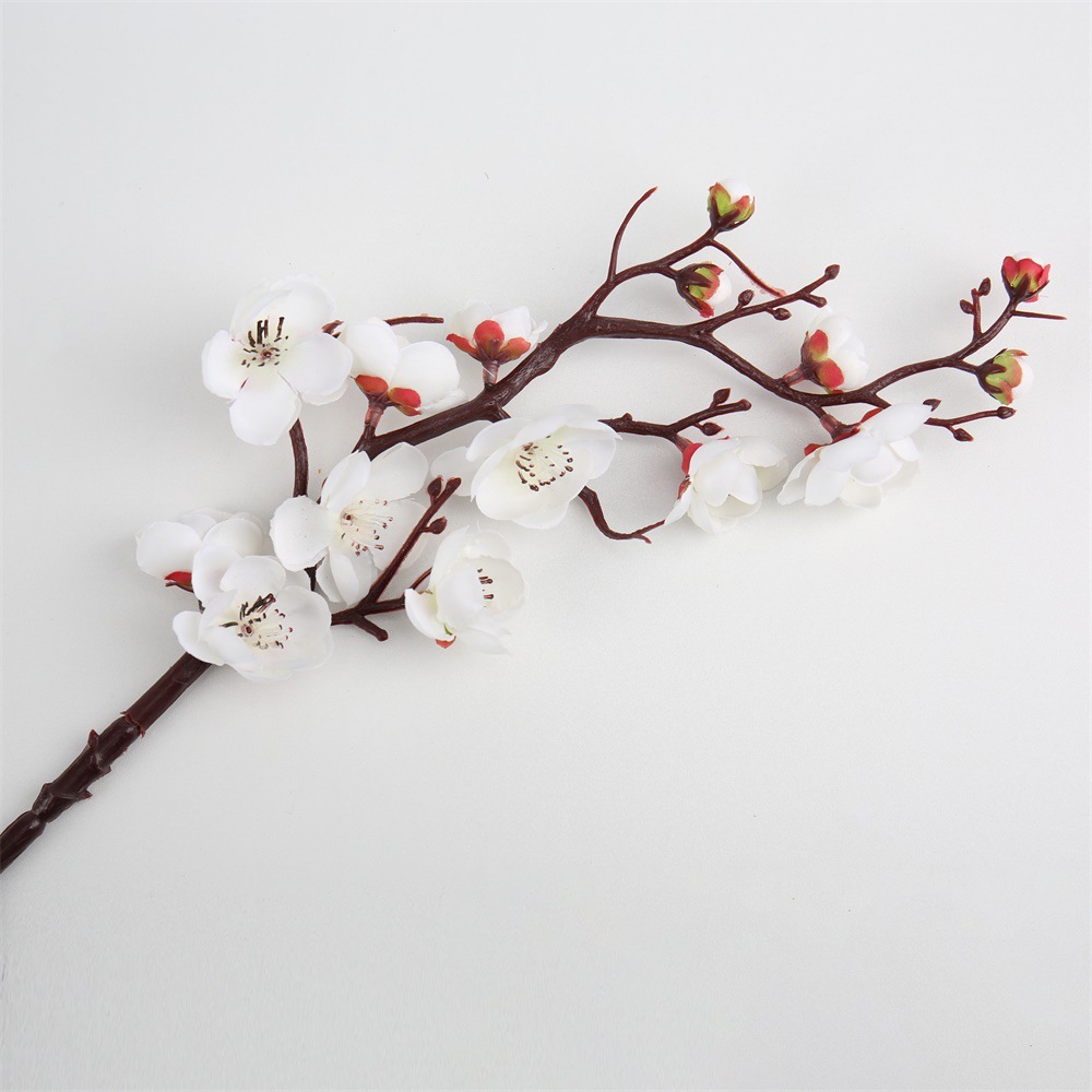 8b5046dc02803837c58974e4bad954