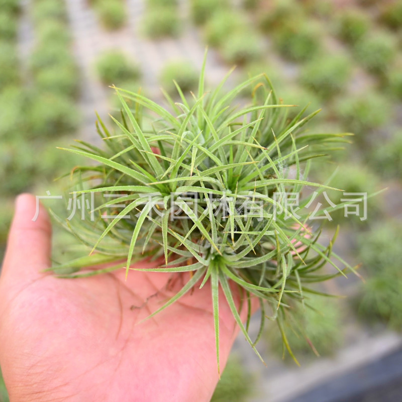 IMG_1719(20200826-091624)_副本.j