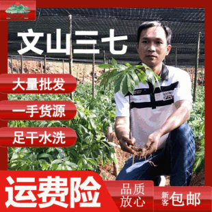 ��ɽ���ߌ����l�����ɽ�����^���� ���߷����߻������ɽ�a��ș