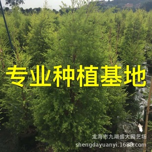 �������l�㽭ǧ�ӽ��� �е����S�������1.2�� �S��������r��