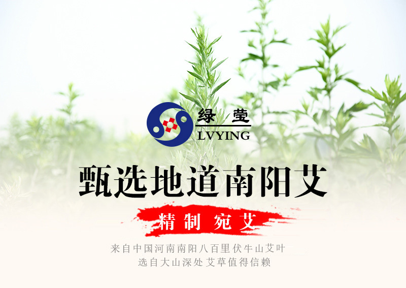 35:1 Golden Moxa Stick Ai Tiao 5-Year Aged Mugwort Moxibustion Roll 1.8x20cm 16g White Cotton Paper key features