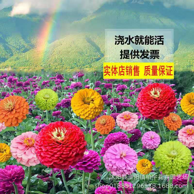 微信图片_20200128214828