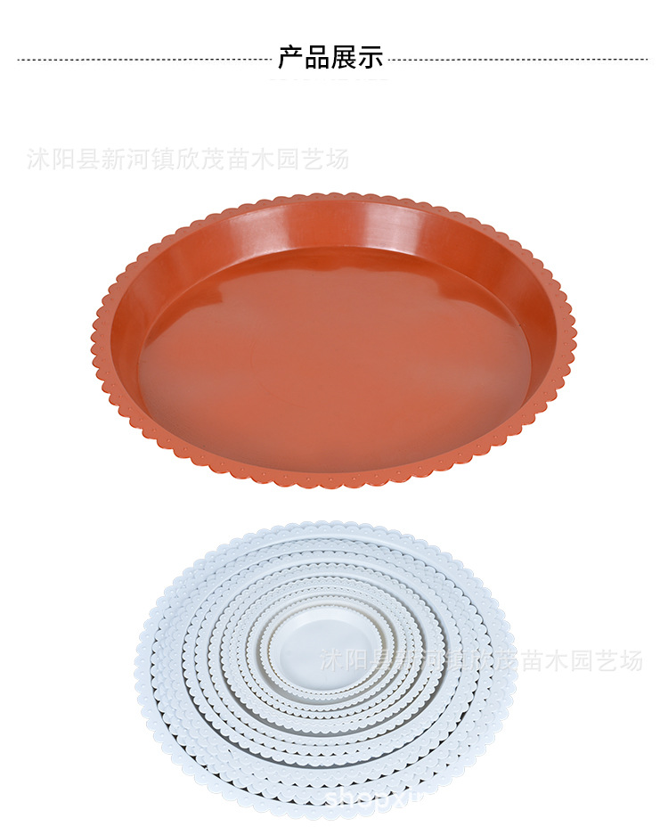 托盘 (5)
