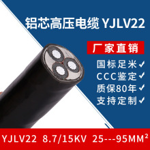 SlXо10kV߉| YJLV22 3*35-3*120 Ҏ늾|