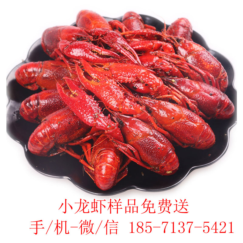 央视助农盒装楚虾王小龙虾熟食鲜活麻辣蒜蓉即食大虾湖北潜江包邮|ms