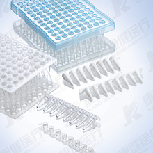 t PCR PCR