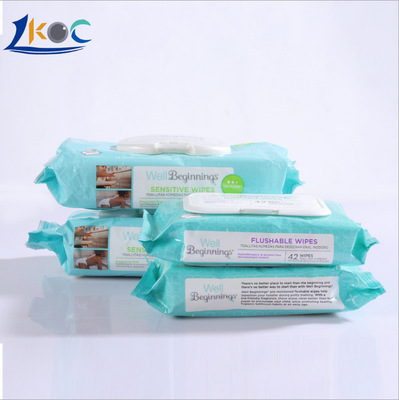 厂家生产代工 OEM贴牌 酒精湿巾 清洁湿巾 定做无香型wipe无纺布