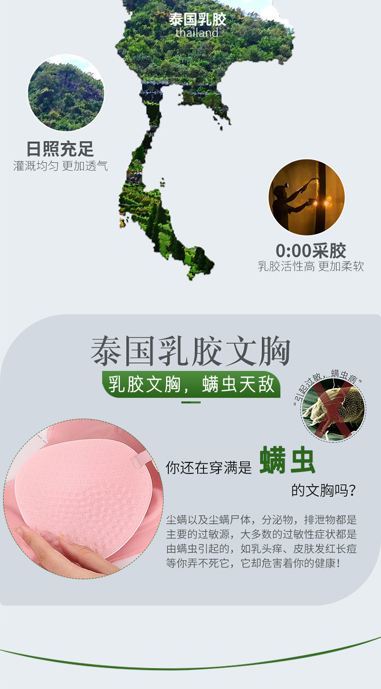 泰国乳胶文胸