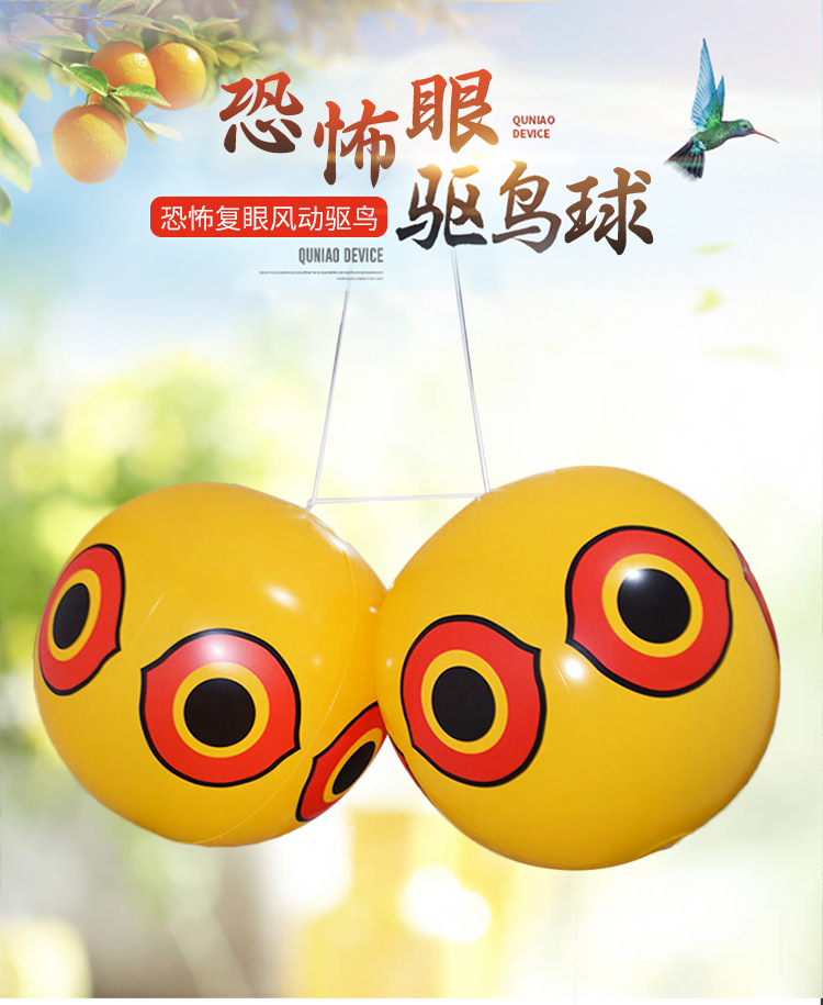 未标题-2-副本_01