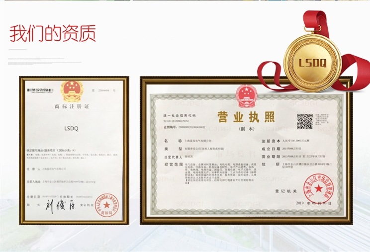 上海蓝双电气有限公司