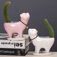 Supply cross-border gardening Amazon cat tail succulent cactus ceramic flowerpot cartoon cute personalized ornaments