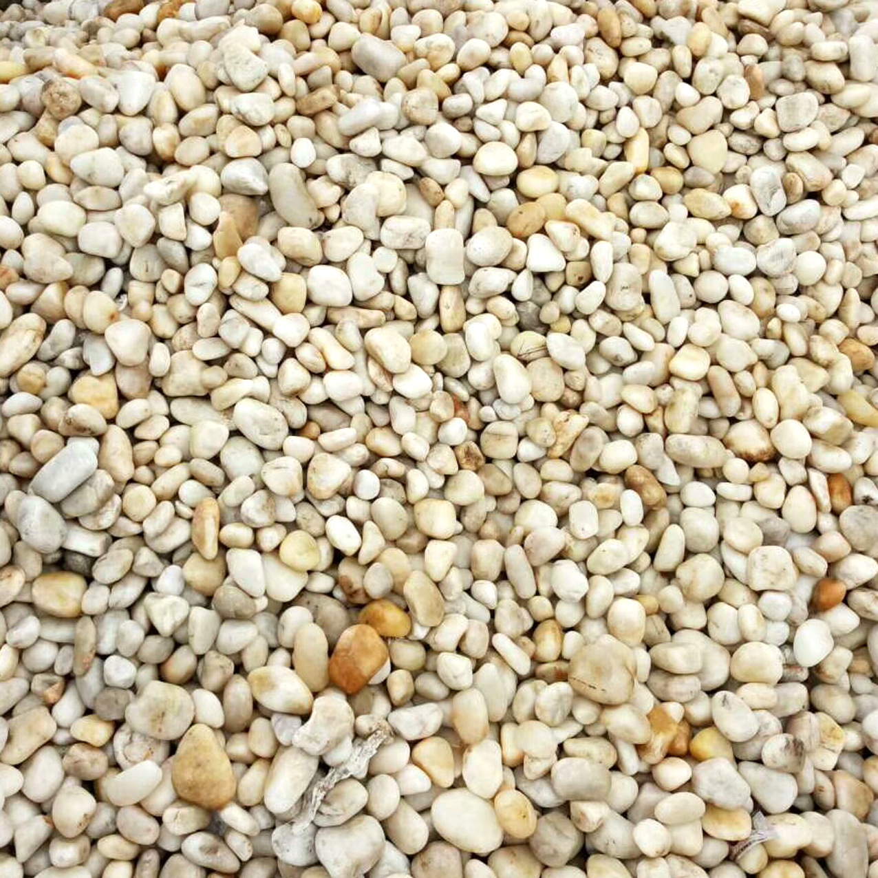 厂家供应鹅卵石 鹅卵石 河卵石 量大优惠|ru