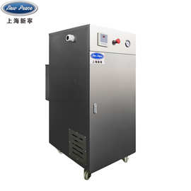 上海厂家销售功率30千瓦电蒸汽发生器LDR0.04-0.7电热蒸汽锅炉