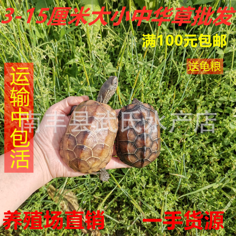 IMG_20200326_161658[1]_副本