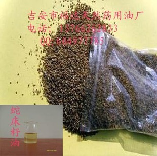 �ߴ�����  �ߴ����͏S��ֱ�N����ă�