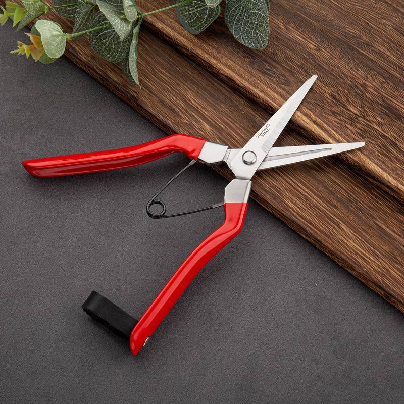 采果剪蔬果工具果枝剪园艺修枝剪刀修花剪子家用葡萄剪强力摘果剪