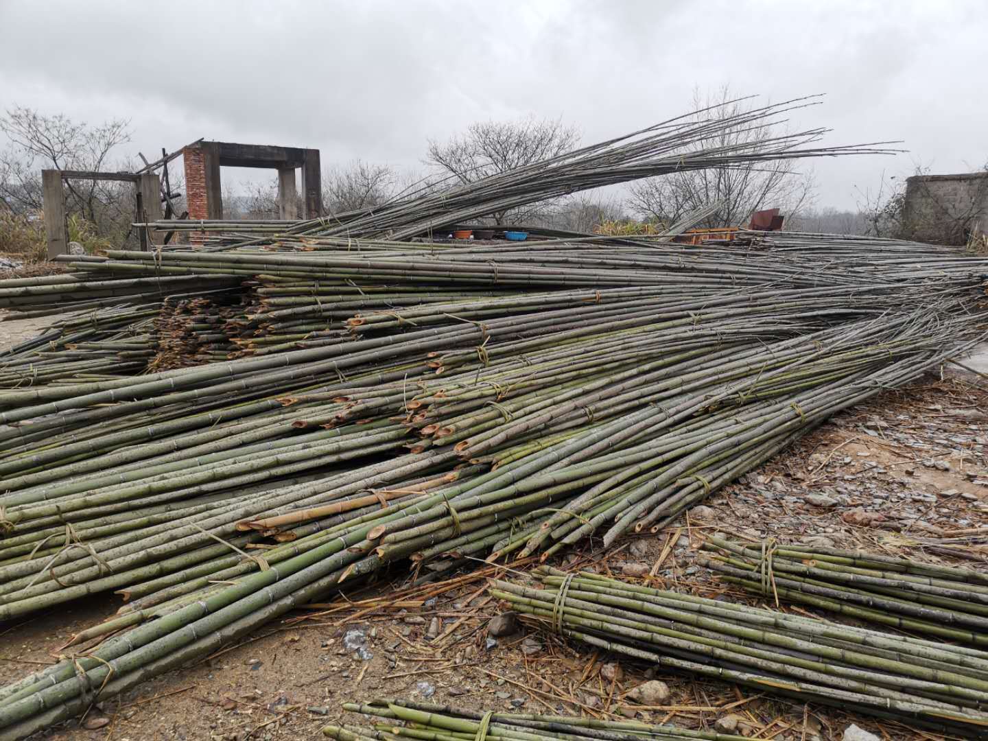 微信图片_20200303130658