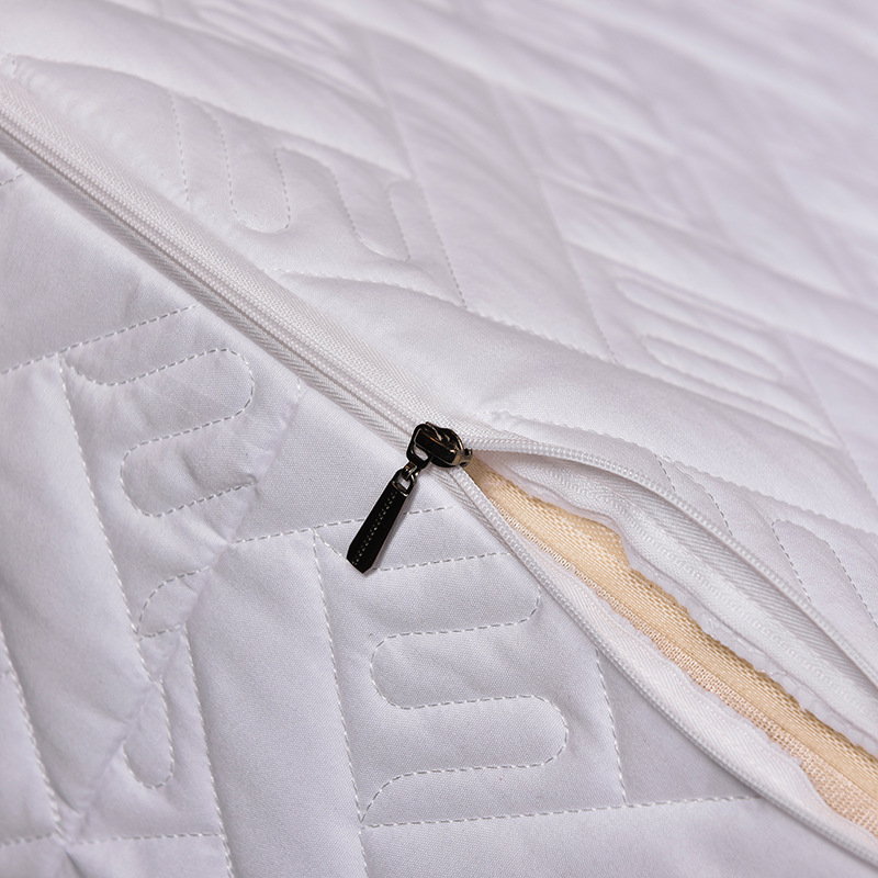 Direct Sale 2020 Five-Sided Quilted Six-Sided Fully Enclosed Fitted Sheet with Zipper Mattress Protector Palm Mat Double Bed