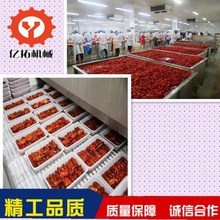 推荐 湖北小龙虾加工设备 小龙虾超声波清洗机 全自动蒸煮机厂家