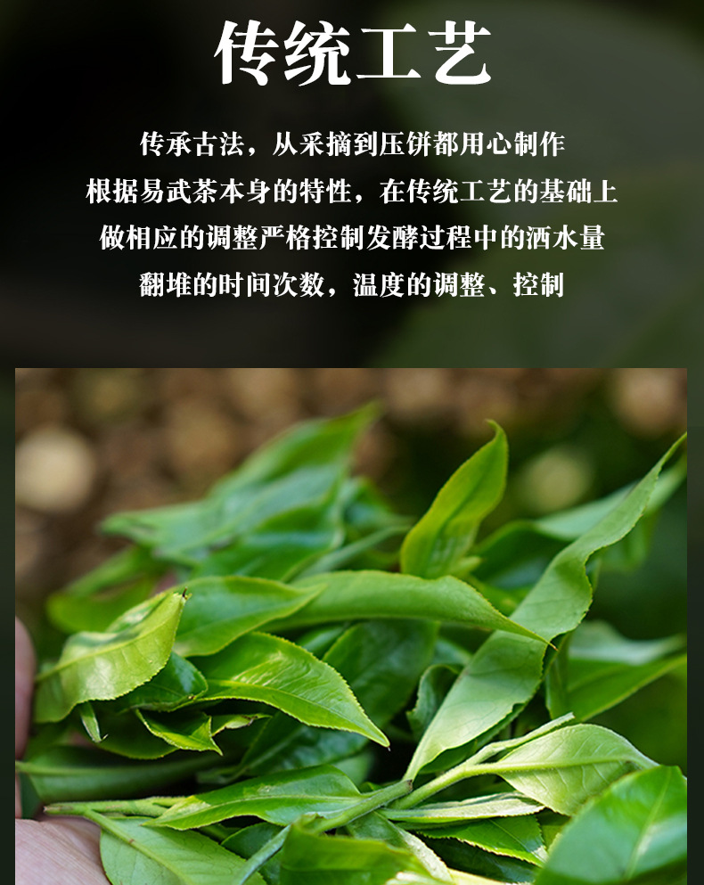 小金沱_04.jpg