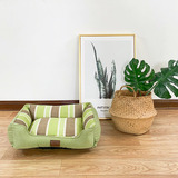 Собака приходит к четырем сезонам гоуксианский мато