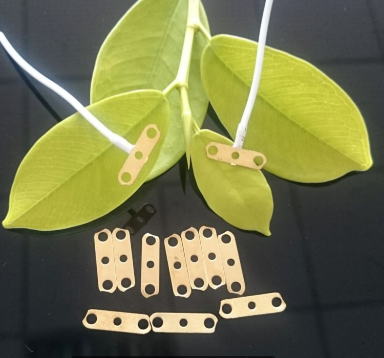 LED端子线灯头线材现货供应